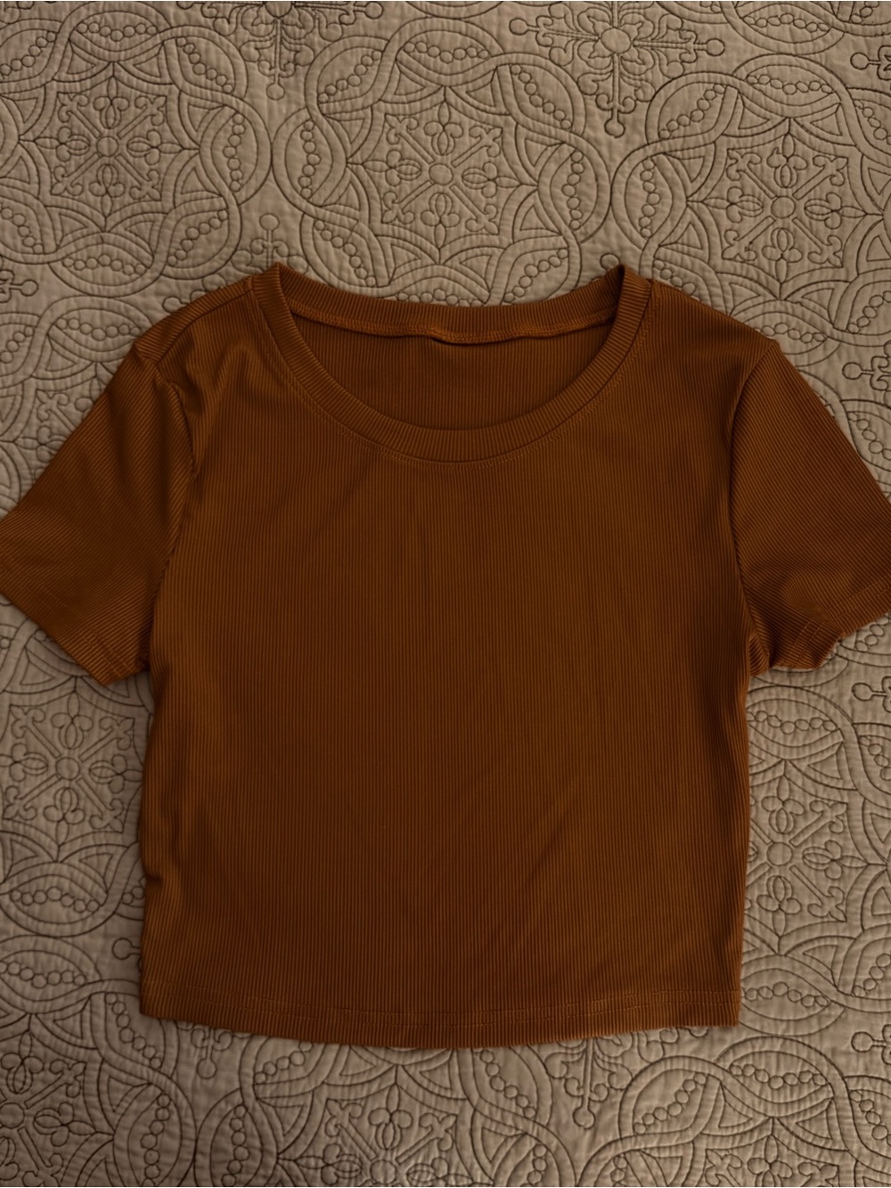 Classic Ribbed Crop Top - Brown